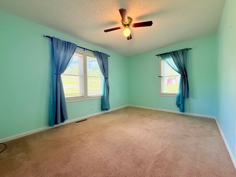 Tiny photo for 345 E Fords Ferry Road, Cave In Rock, IL 62919 (MLS # 12629866)