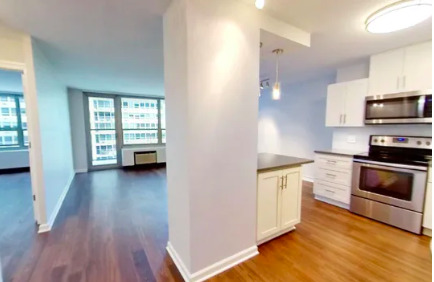 3550 N Lake Shore Drive 805