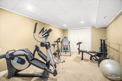 Tiny photo for 2169 Kyla Court, Montgomery, IL 60538 (MLS # 12574547)