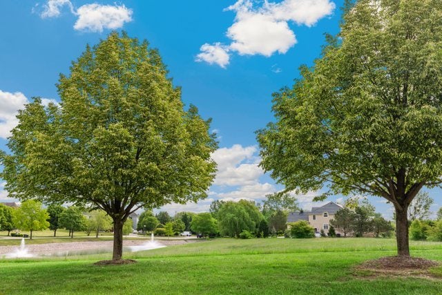 8 Falcon Lakes Drive