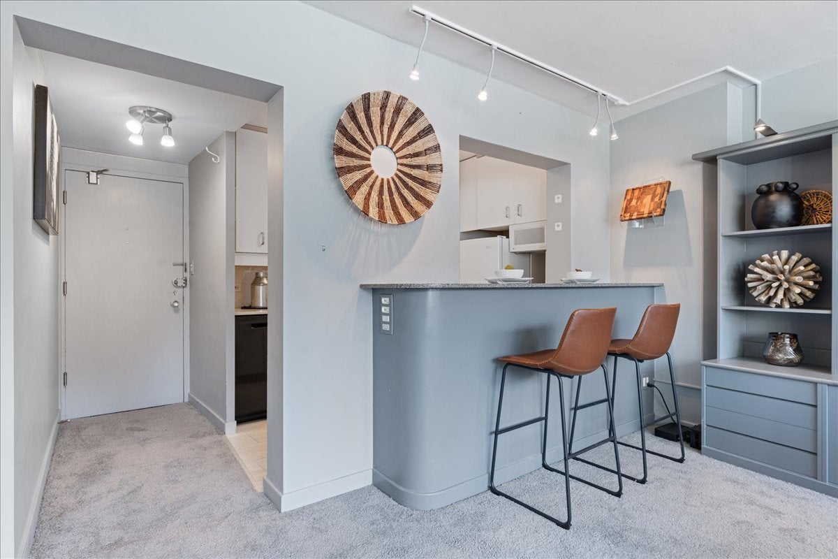 1150 N Lake Shore Drive 8K