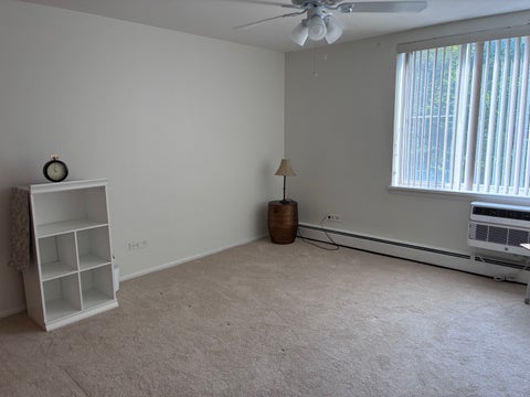 Tiny photo for 201 S Maple Avenue #210, Oak Park, IL 60302 (MLS # 12777656)