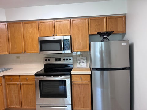Tiny photo for 201 S Maple Avenue #210, Oak Park, IL 60302 (MLS # 12777656)