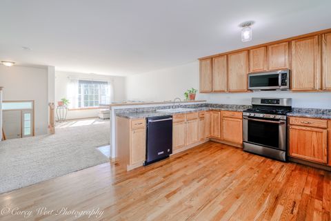 Tiny photo for 497 E Willow Street #0, Elburn, IL 60119 (MLS # 12634101)