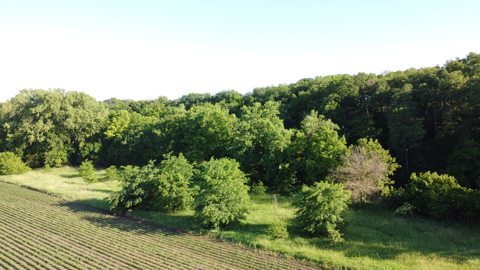 02 County Road 525N