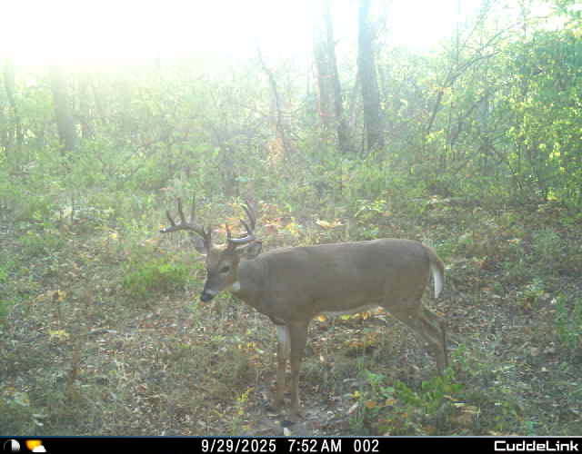 02 County Road 525N