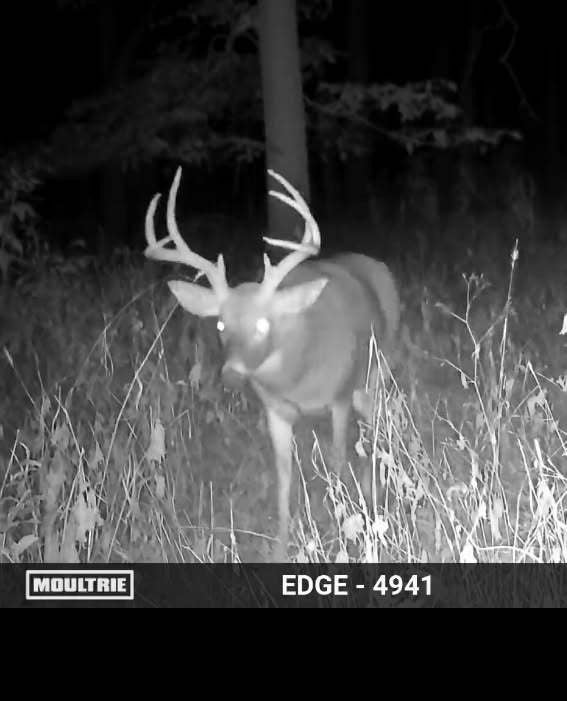 02 County Road 525N