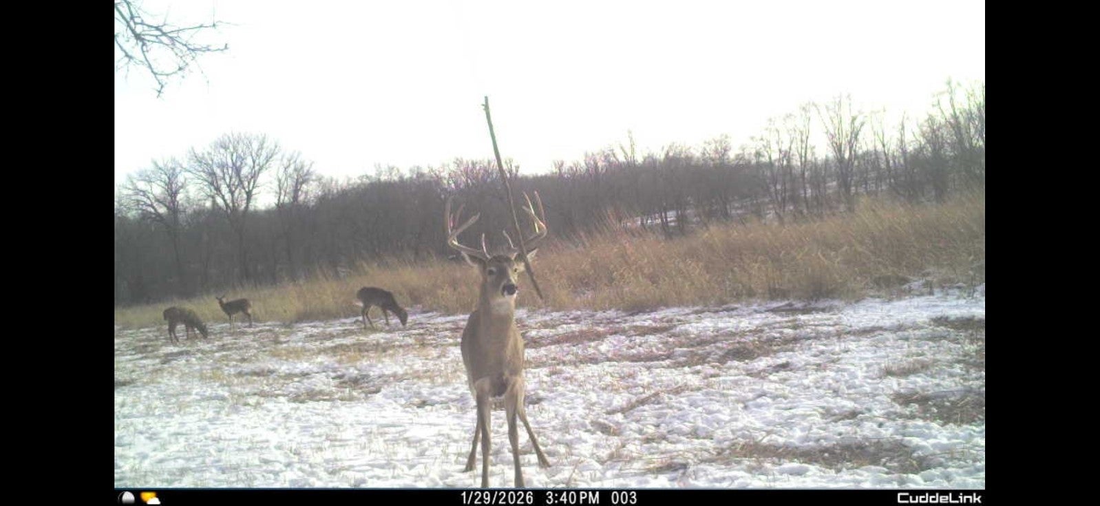 02 County Road 525N