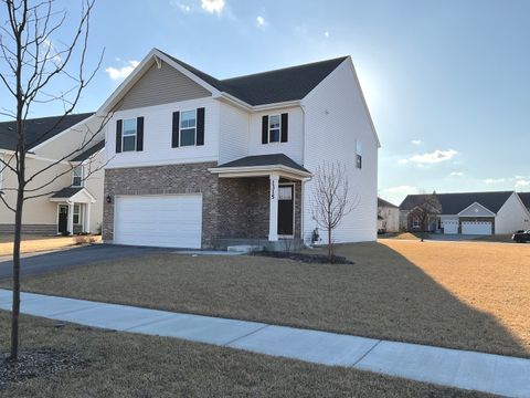 Photo of 1315 Stonecrop Lane, Joliet, IL 60431 (MLS # 12503939) Photo of 1315 Stonecrop Lane, Joliet, IL 60431 (MLS # 12503939)