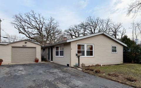 Tiny photo for 827 Monroe Avenue, Carpentersville, IL 60110 (MLS # 12579198)
