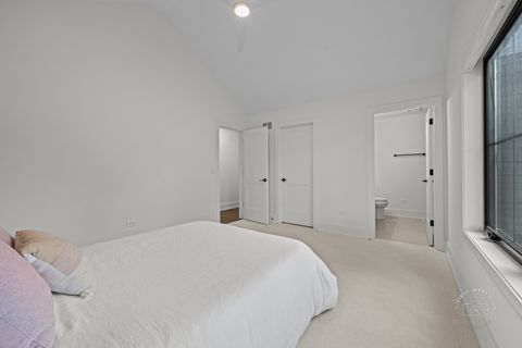 Tiny photo for 328 S Loomis Street, Naperville, IL 60540 (MLS # 12270661)