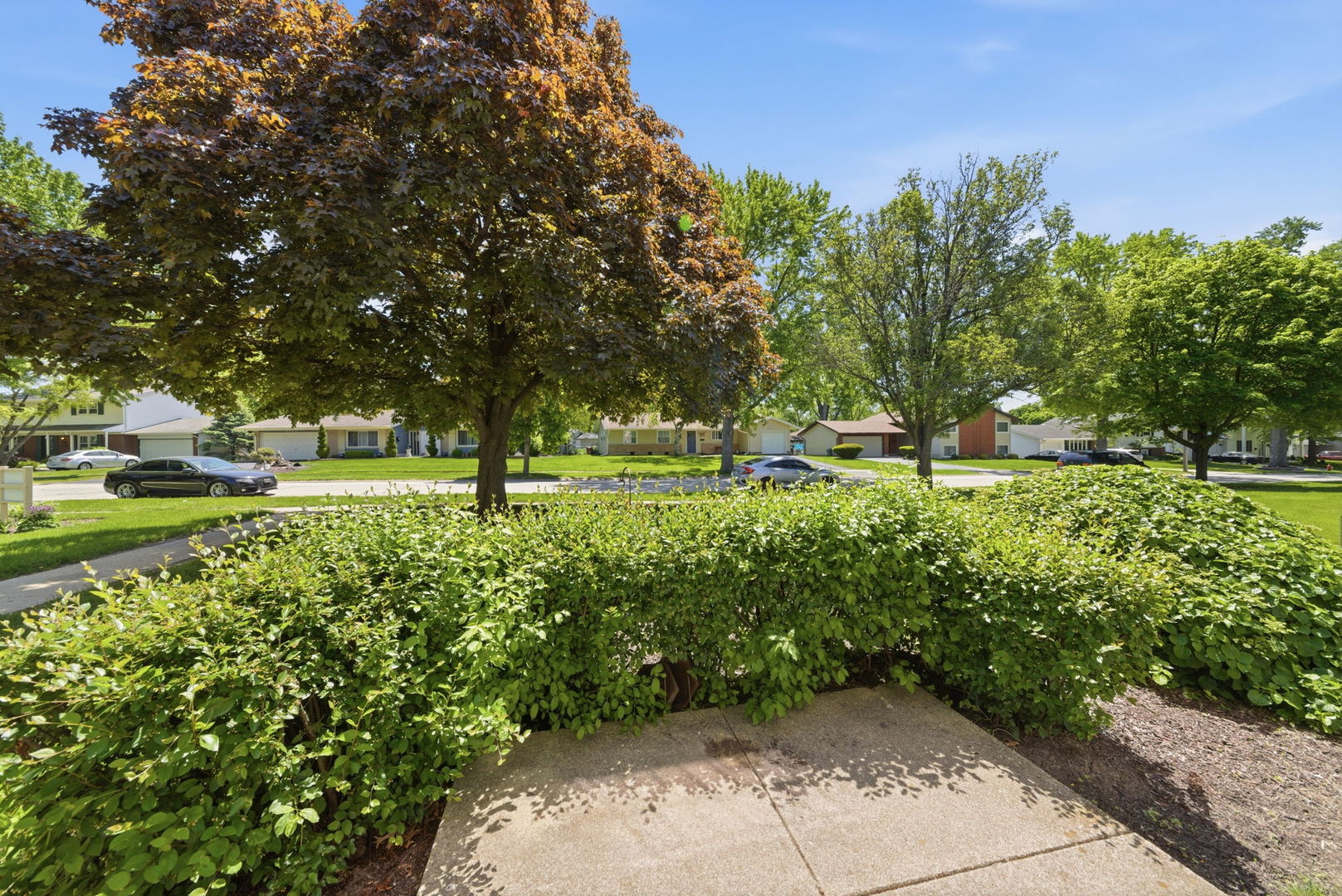 2630 Mitchell Drive 4