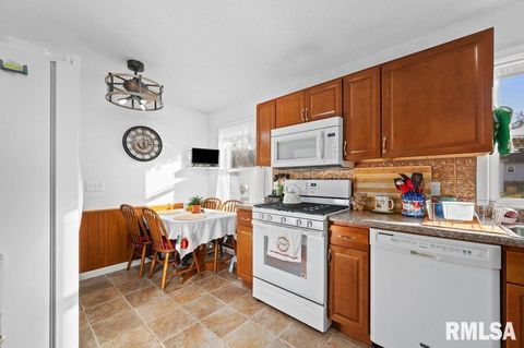 Tiny photo for 341 W 30TH Street, Davenport, IA 52803 (MLS # QC4269344)