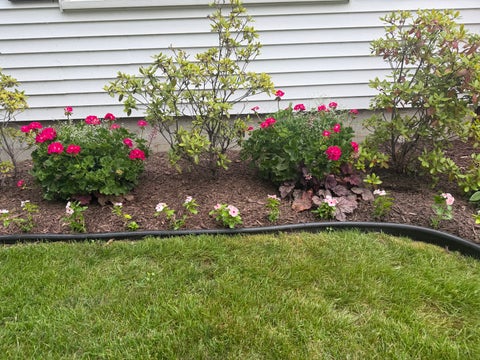Tiny photo for 313 W 2nd Street, Prophetstown, IL 61277 (MLS # 12702263)