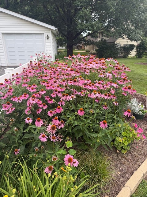 Tiny photo for 313 W 2nd Street, Prophetstown, IL 61277 (MLS # 12702263)