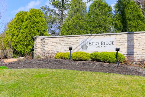 Tiny photo for 45 Silo Ridge Road, Orland Park, IL 60467 (MLS # 12498094)