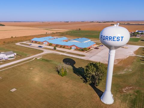 Tiny photo for 208 W Martin Street, Forrest, IL 61741 (MLS # 12481576)