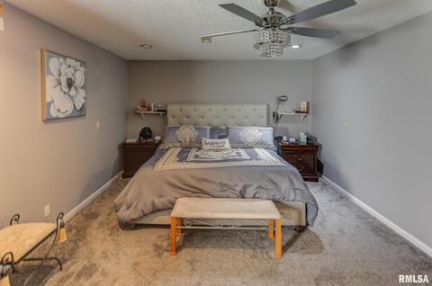 Tiny photo for 424 N COLLEGE Street, Centralia, IL 62801 (MLS # EB457085)