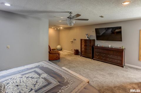 Tiny photo for 424 N COLLEGE Street, Centralia, IL 62801 (MLS # EB457085)