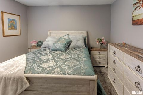 Tiny photo for 424 N COLLEGE Street, Centralia, IL 62801 (MLS # EB457085)