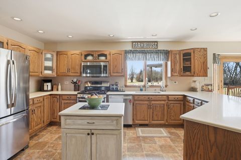 Tiny photo for Peotone, IL 60468 (MLS # 12593642)