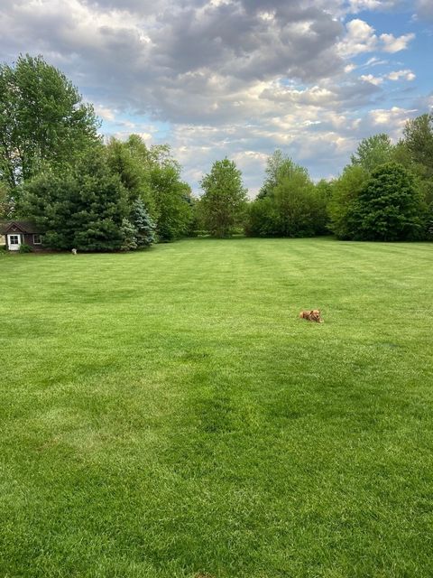 Tiny photo for Peotone, IL 60468 (MLS # 12593642)