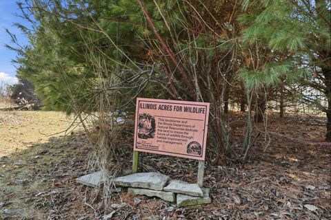 Tiny photo for Peotone, IL 60468 (MLS # 12593642)