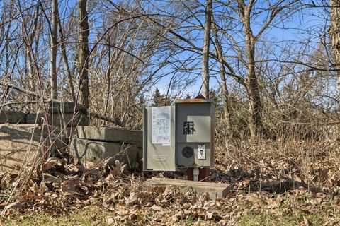 Tiny photo for Peotone, IL 60468 (MLS # 12593642)