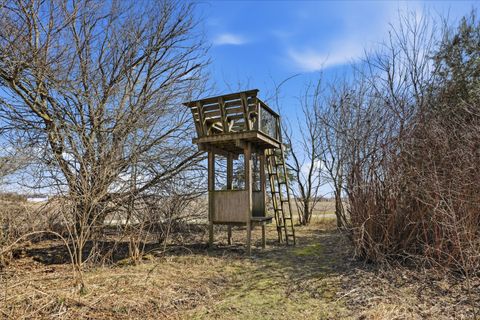 Tiny photo for Peotone, IL 60468 (MLS # 12593642)