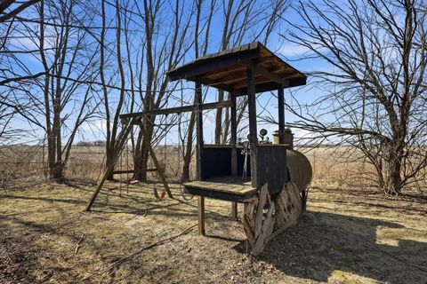 Tiny photo for Peotone, IL 60468 (MLS # 12593642)