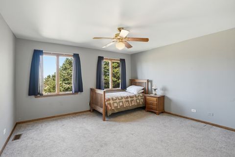 Tiny photo for Peotone, IL 60468 (MLS # 12593642)