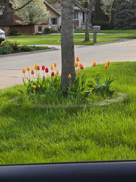 Tiny photo for 570 W Crockett Avenue, Elmhurst, IL 60126 (MLS # 12791100)