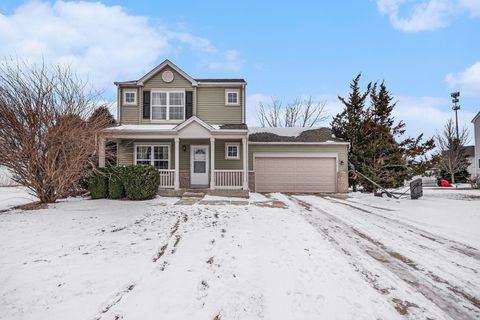 1137 S Wabena Avenue Minooka IL 60447