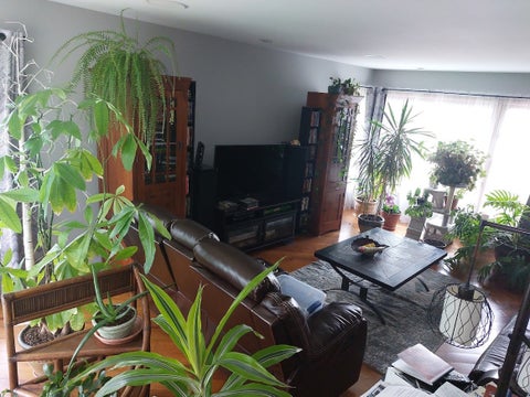 Tiny photo for 406 W Marion Street W, Prospect Heights, IL 60070 (MLS # 12749958)