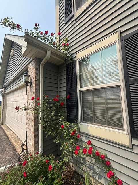 Tiny photo for 519 S Regulators Street, Rochelle, IL 61068 (MLS # 12492472)