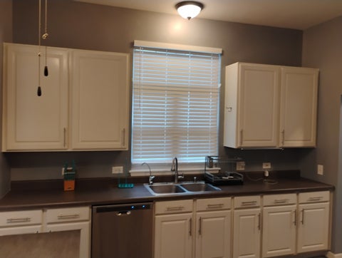 Tiny photo for 229 Rainier Way, Fox Lake, IL 60020 (MLS # 12734264)