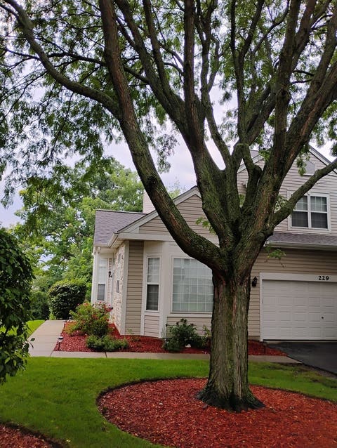 Tiny photo for 229 Rainier Way, Fox Lake, IL 60020 (MLS # 12734264)