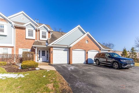 225 WINNSBORO Court 6B Schaumburg IL 60193