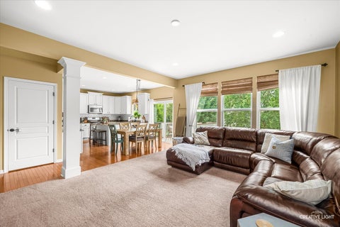 Tiny photo for 180 Chapin Way, Oswego, IL 60543 (MLS # 12788025)