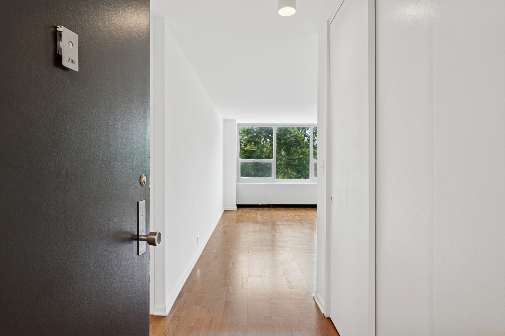 1700 E 56th Street 310