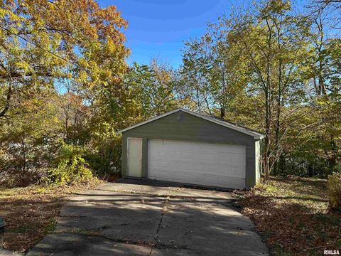 Tiny photo for 1325 MISSISSIPPI Avenue, Davenport, IA 52803 (MLS # QC4269287)