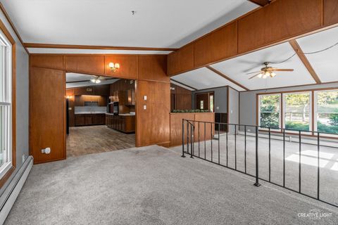 Tiny photo for 24 S Grant Street, North Aurora, IL 60542 (MLS # 12487717)