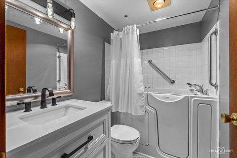 Tiny photo for 24 S Grant Street, North Aurora, IL 60542 (MLS # 12487717)