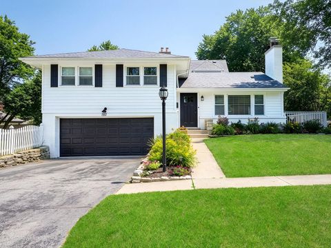 Photo of 742 W Chestnut Street, Hinsdale, IL 60521 (MLS # 12556012)