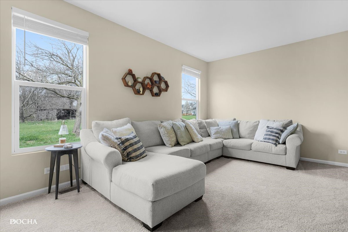 377 Grape Vine Trail, Oswego, IL 60543 — MLS #12599924 — photo 14 of 36