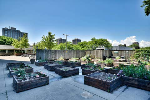 Tiny photo for 4250 N MARINE Drive #1731, Chicago, IL 60613 (MLS # 12619329)