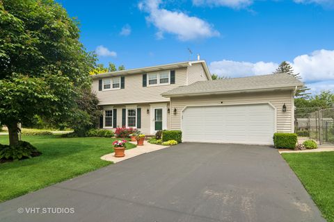 717 Burris Avenue Lake Bluff IL 60044