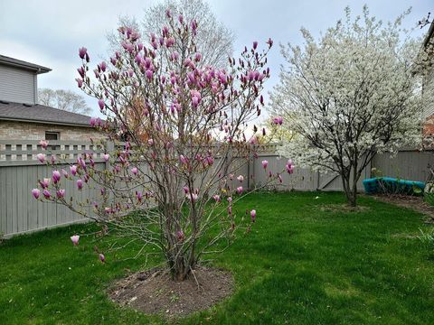 Tiny photo for 18753 Rosewood Lane, Mokena, IL 60448 (MLS # 12569593)