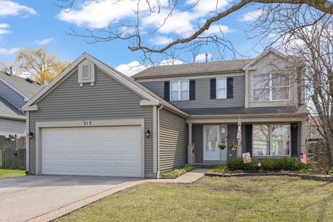 Photo of 317 Christine Lane, Hainesville, IL 60030 (MLS # 12611472)