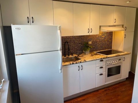 Tiny photo for 700 W Bittersweet Place #308, Chicago, IL 60613 (MLS # 12479971)